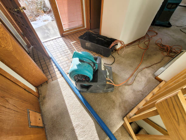 Best 24-hour water damage restoration  in Rock Hill, MO