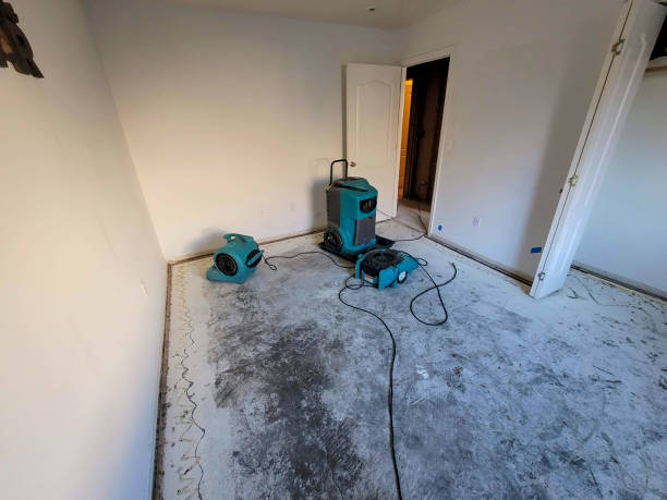 Best Emergency water damage restoration  in Rock Hill, MO