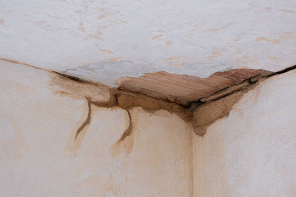 Best Ceiling water damage repair  in Rock Hill, MO