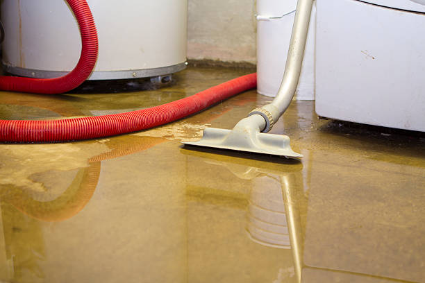 Water damage restoration mold remediation in Rock Hill, MO