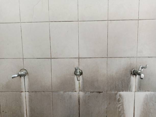 Best Flood restoration services  in Rock Hill, MO