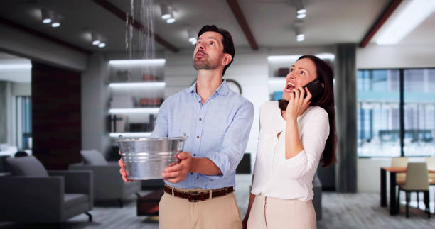 Best Water damage restoration near me  in Rock Hill, MO
