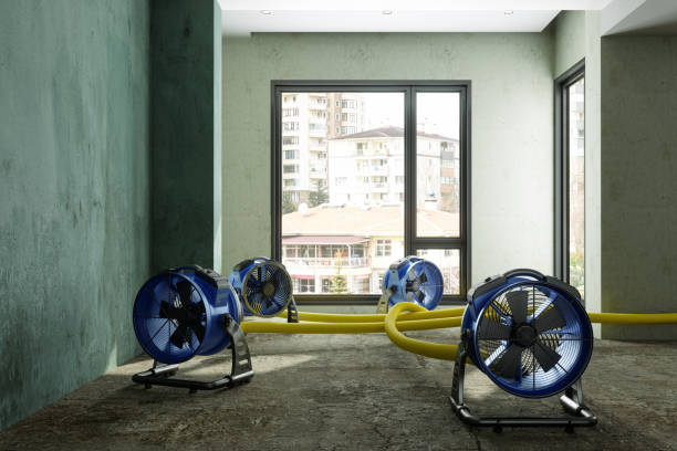 Best Basement water damage restoration  in Rock Hill, MO